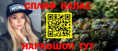 стаф Кунгур