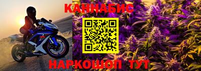 стаф Кунгур